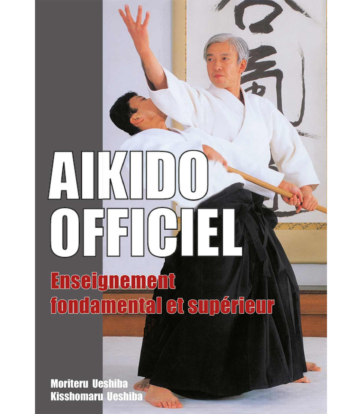 découvrez comment maîtriser la résistance en aïkido grâce à des techniques efficaces pour améliorer votre fluidité et votre contrôle lors des entraînements.