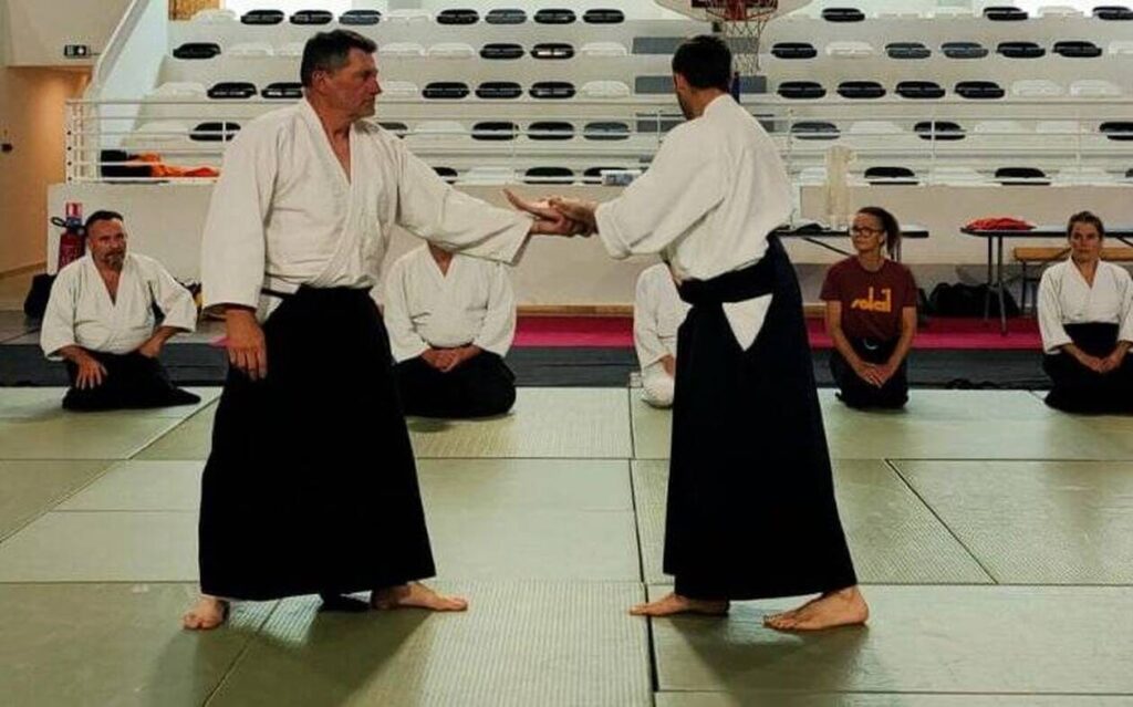 découvrez comment maîtriser la résistance en aïkido grâce à des techniques efficaces et une approche équilibrée pour améliorer votre pratique et votre maîtrise de cet art martial.