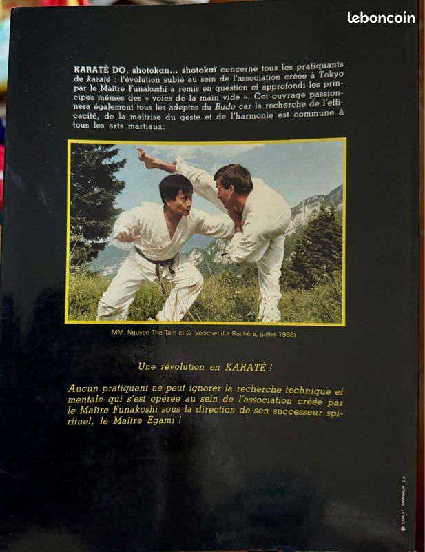 découvrez le karaté, un art martial alliant maîtrise du corps et harmonie intérieure pour développer discipline, confiance et bien-être.