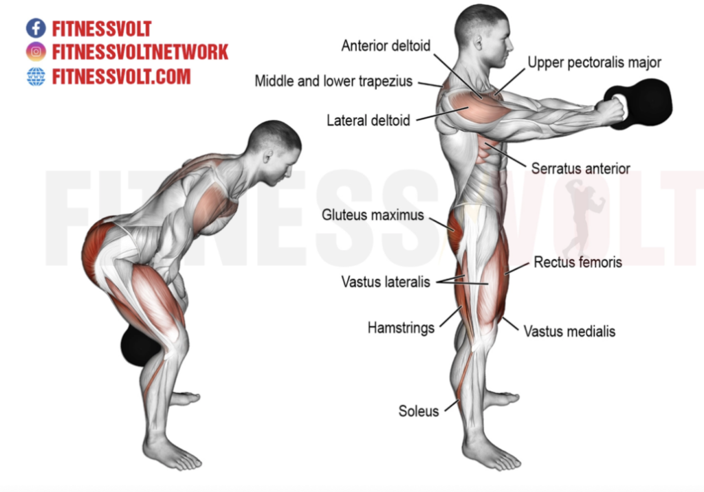 découvrez les muscles sollicités lors du kettlebell swing et comment cet exercice améliore votre force et votre endurance pour un entraînement efficace.