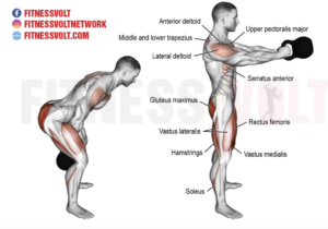 Kettlebell swing : quels muscles sont sollicités et comment maximiser l&rsquo;efficacité