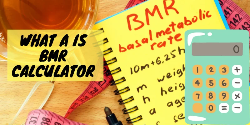 calculez facilement votre métabolisme de base (bmr) pour mieux comprendre vos besoins énergétiques quotidiens et optimiser votre alimentation.