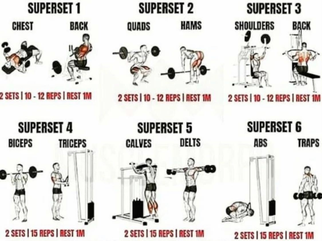 entraînement complet du corps : tonifiez tous vos muscles avec des exercices efficaces pour une meilleure forme physique et un bien-être optimal.