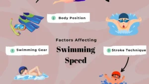 Comprendre la vitesse moyenne en natation pour améliorer ses performances