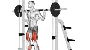 Machine smith squat : guide complet pour maîtriser cet exercice de musculation