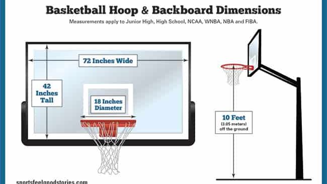 découvrez la hauteur officielle du panier de basketball nba et son importance dans le jeu professionnel.