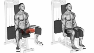 Exercice adducteurs machine : guide complet pour bien s&rsquo;entraîner