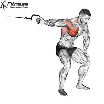 exercice de musculation poitrine avec câble crossover pour tonifier et renforcer les muscles pectoraux efficacement.
