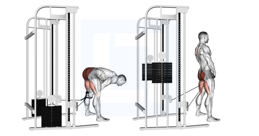 découvrez l'exercice glute pulley pour tonifier et renforcer efficacement vos fessiers grâce à une machine à poulie.