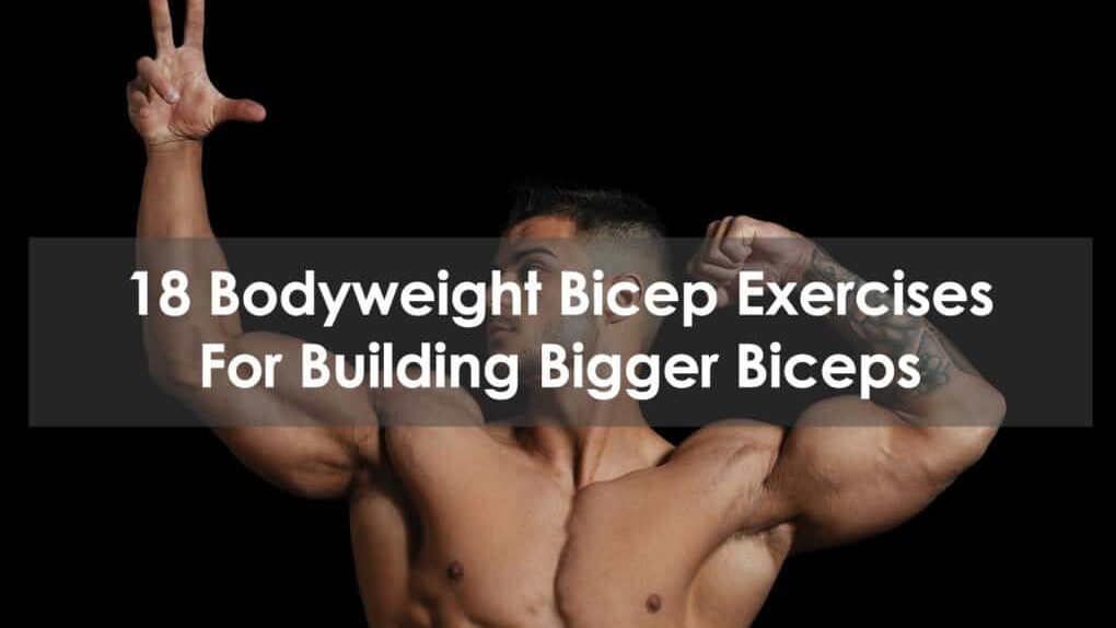 découvrez des exercices efficaces pour les biceps utilisant uniquement le poids du corps, parfaits pour renforcer vos bras sans équipement.
