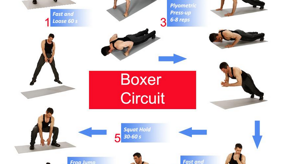 entraînement de force pour la boxe : améliorez votre puissance, votre endurance et votre explosivité avec des exercices ciblés pour des performances optimales sur le ring.