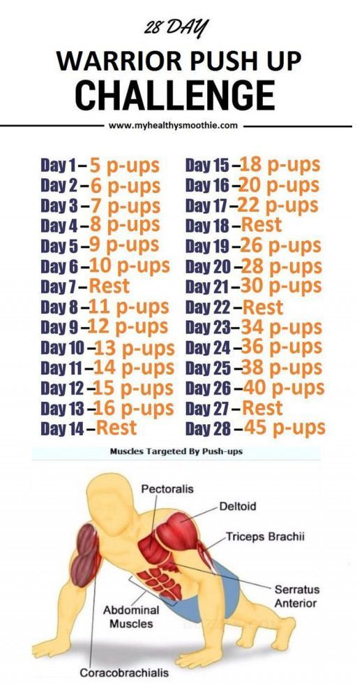 programme de pompes quotidien pour renforcer et tonifier vos muscles efficacement.