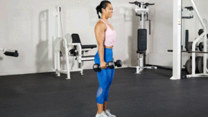 Tout savoir sur le curl marteau pour muscler les biceps efficacement