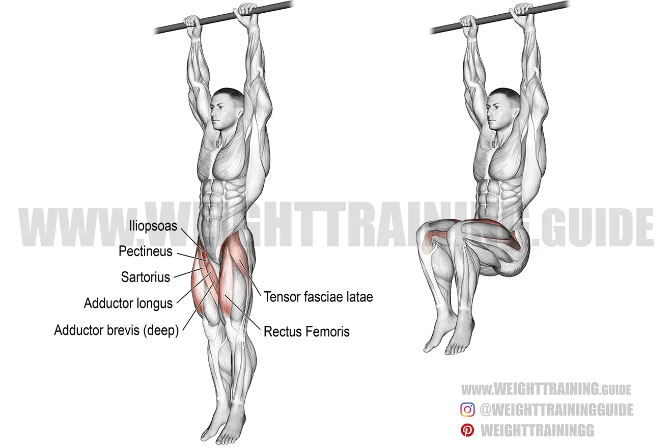 découvrez comment réaliser les hanging knee raises pour renforcer efficacement vos abdominaux et améliorer votre stabilité corporelle.