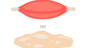 Kg de muscle vs 1 kg de graisse : quelle différence pour votre corps ?