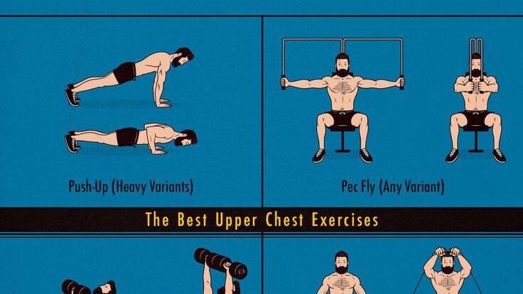 exercices efficaces pour développer la partie supérieure des pectoraux et sculpter votre haut du torse.